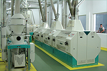 Mill-factory Mill-factory